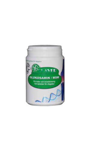 GLUKOSAMIN/MSM TABLETTER 120ST