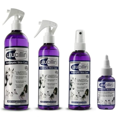 LEUCILLIN