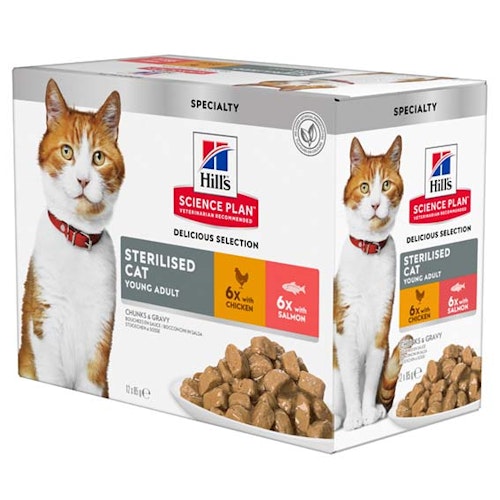 Hills Feline Adult Sterilised Salmon & Chicken 12x85g