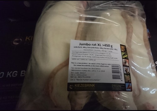 Råtta över 450 gram