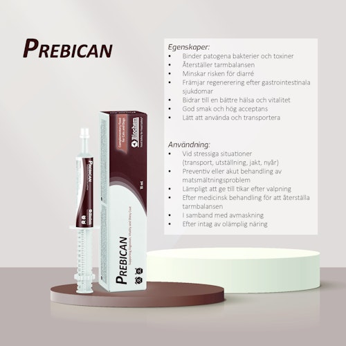 Prebican
