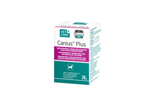 Canius Plus