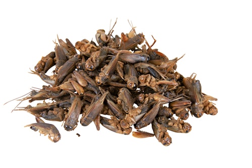Syrsor, torkade, 250 ml/25 g