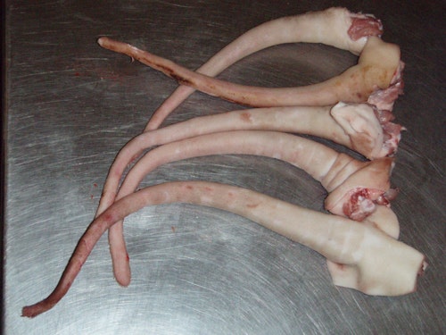 GRISKNORR HEL