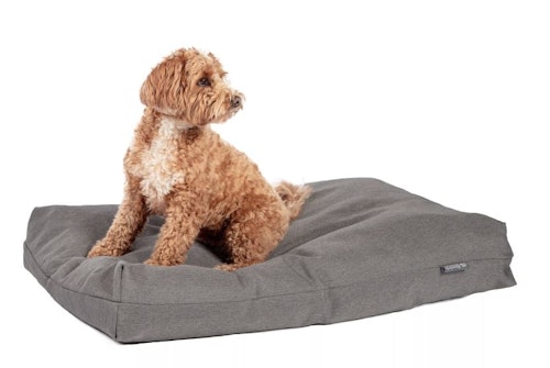 Danish Design Antibacterial Bed