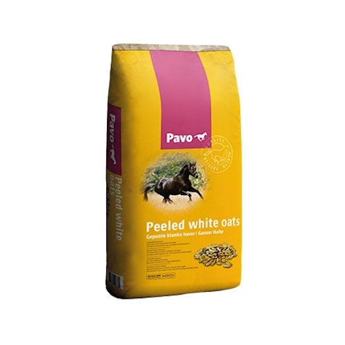 Pavo white oats