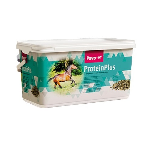 Pavo ProteinPlus