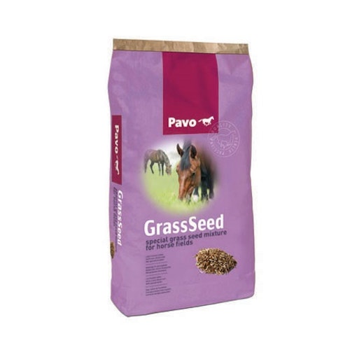 Pavo grass seed
