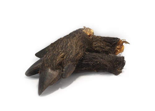 Vildsvinsfot i ½