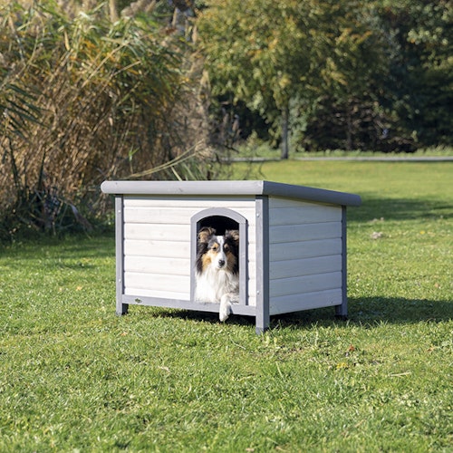 (BV)Hundkoja Classic