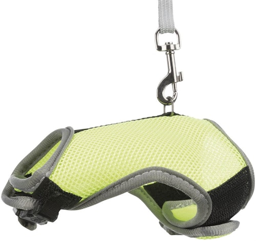 Softsele+koppel, marsvin,iller, 18-25 cm, 1.20m
