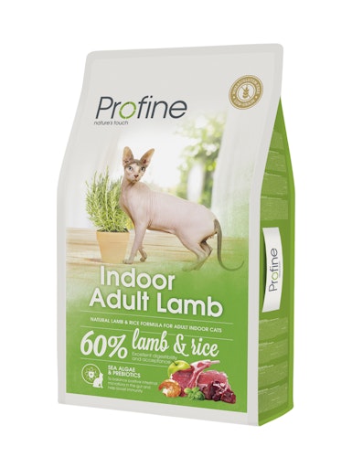 Indoor Adult Lamb
