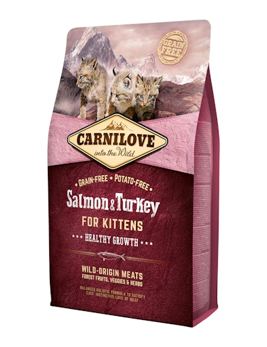 Salmon & Turkey Kitten