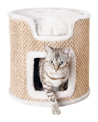 Klösmöbel Cat-Tower Ria, ø 37 x h37 cm, ljusgrå/beige