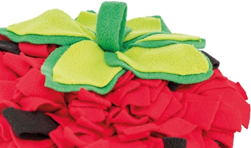 Sniffing Carpet, 33 × 40 cm,