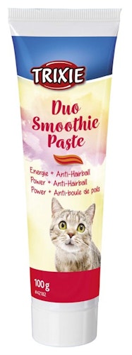 Duo Smoothie pasta