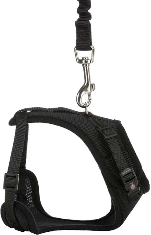 Y-sele, katt, med elastiskt koppel, 39-60 cm/10 mm, 100 cm