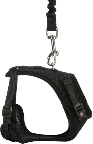 Y-sele, katt, med elastiskt koppel, 39-60 cm/10 mm, 100 cm
