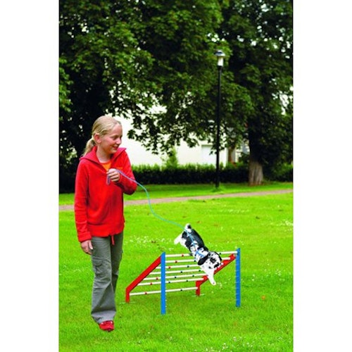 KANINHOPPNINGSHINDER STL M 75X64X53CM