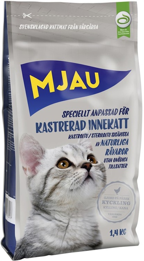 Mjau Kastrerad innekatt