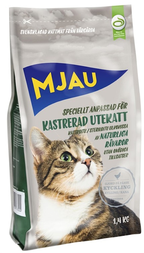 Mjau Kastrerad utekatt