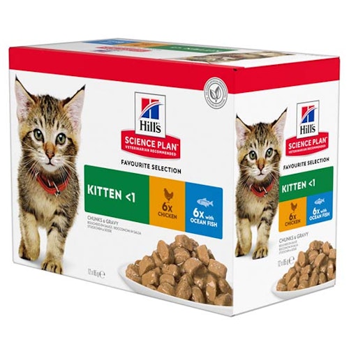 Hills Kitten Chicken & Ocean Fish 12x85g