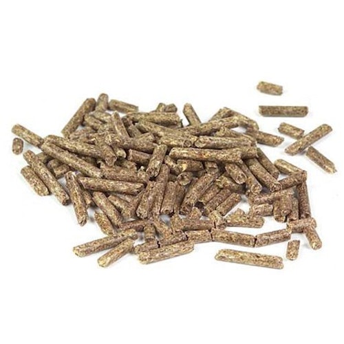 G FODER MÄSTERS CHINCHILLAPELLETS