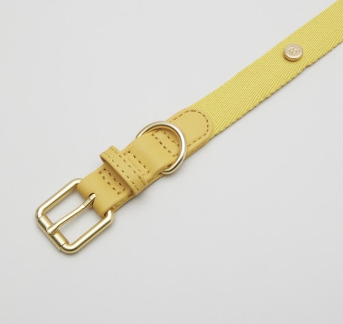 Vegan Leather Collar
