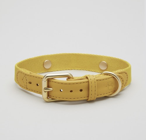 Vegan Leather Collar