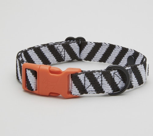 Lightweight Dog Collar