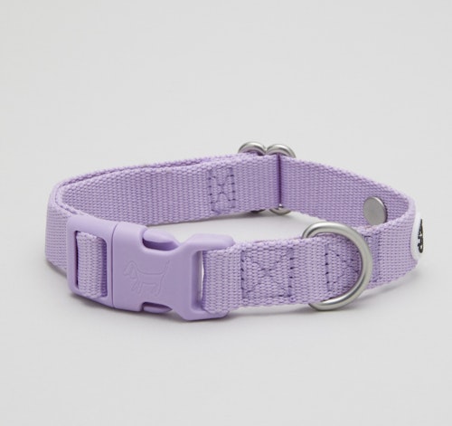 Lightweight Dog Collar