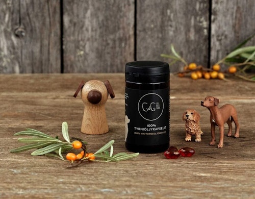 CdG Sea buckthorn - havtornsoljekapslar för hundar