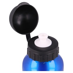 Vattenflaska i aluminium 400ml - Harry Potter