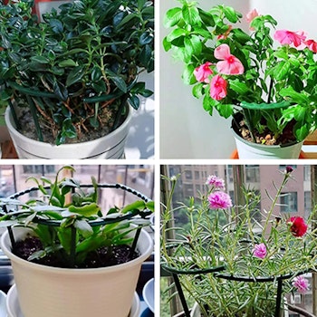 Stödram för blommor