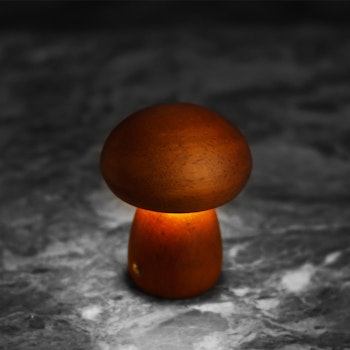 Svamplampa Liten mörk