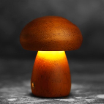 Svamplampa Stor mörk