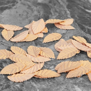 Konstgjorda blomblad Beige