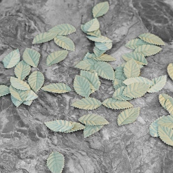Konstgjorda blomblad salvia grön