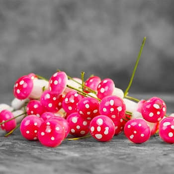 Konstgjorda svampar Rosa