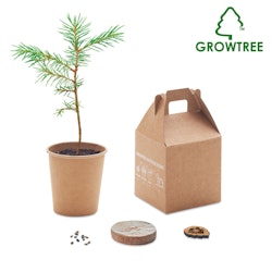 Pappersset av furu - GROWTREE™