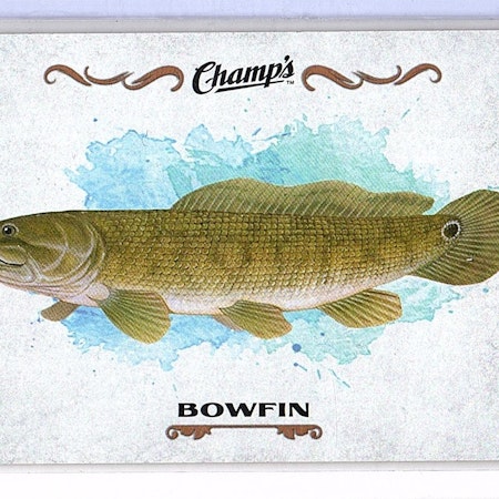 2015-16 Upper Deck Champ's Fish #F4 Bowfin (10-X114-OTHERS)