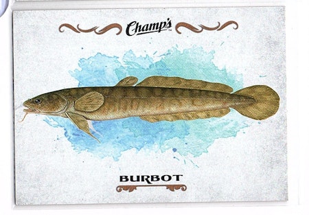 2015-16 Upper Deck Champ's Fish #F15 Burbot (10-X122-OTHERS)