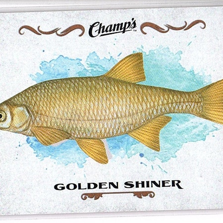 2015-16 Upper Deck Champ's Fish #F27 Golden Shiner (10-X36-OTHERS)