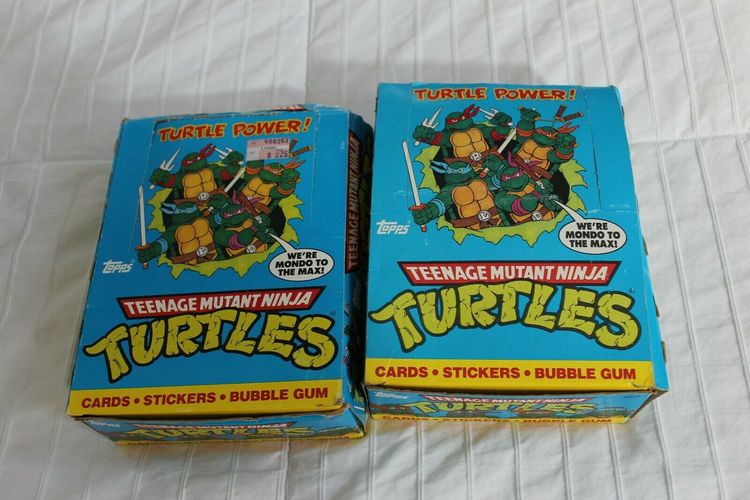 1989 Teenage Mutant Ninja Turtles RETRO BOX