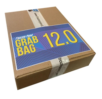 2020-21 Frozen Pond Grab Bag 12.0