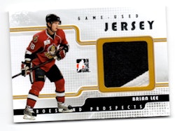 2008-09 ITG Heroes and Prospects Jerseys #GUJ08 Brian Lee (30-X40-OTHERS)