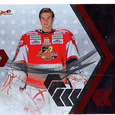 2010-11 Swedish HockeyAllsvenskan Netminders #NM14 Christoffer Bengtsberg (20-X129-OTHERS)