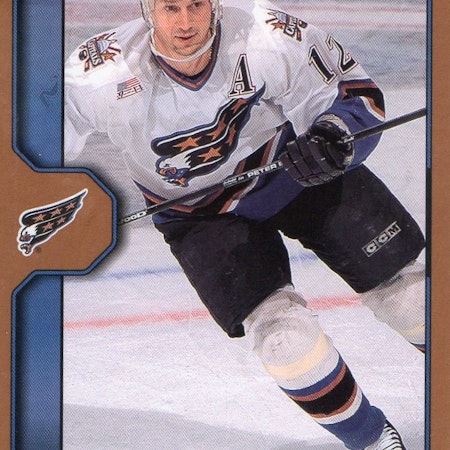 2002-03 Upper Deck Victory Bronze #214 Peter Bondra (10-X138-CAPITALS)