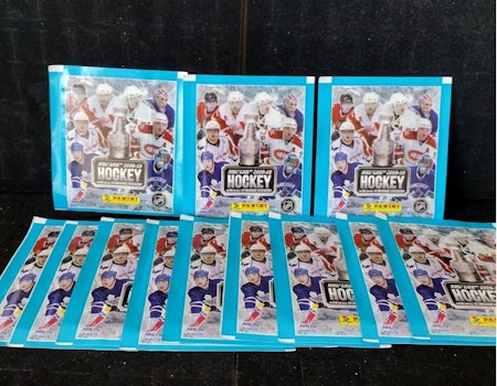 2009-10 Panini Stickers (Löspaket)