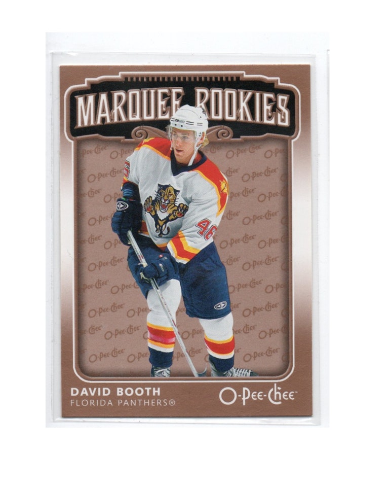 2006-07 O-Pee-Chee #589 David Booth RC (10-X276-NHLPANTHERS)